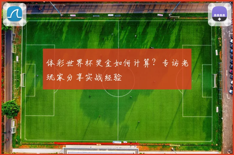 体彩世界杯奖金如何计算？专访老玩家分享实战经验