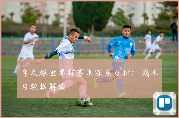 年足球世界杯赛果深度分析：战术与数据解读