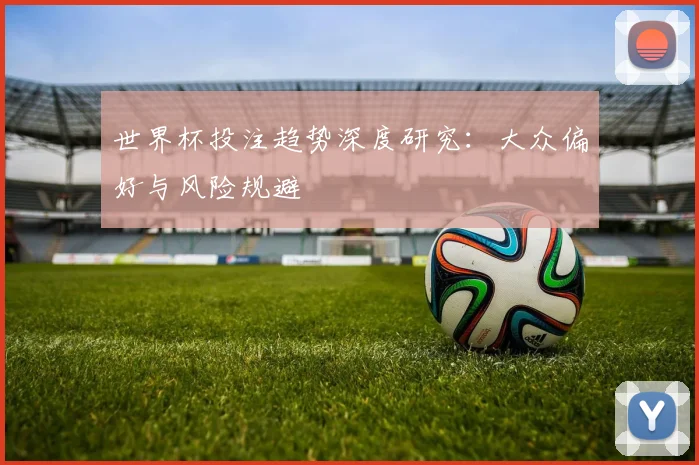 世界杯投注趋势深度研究：大众偏好与风险规避
